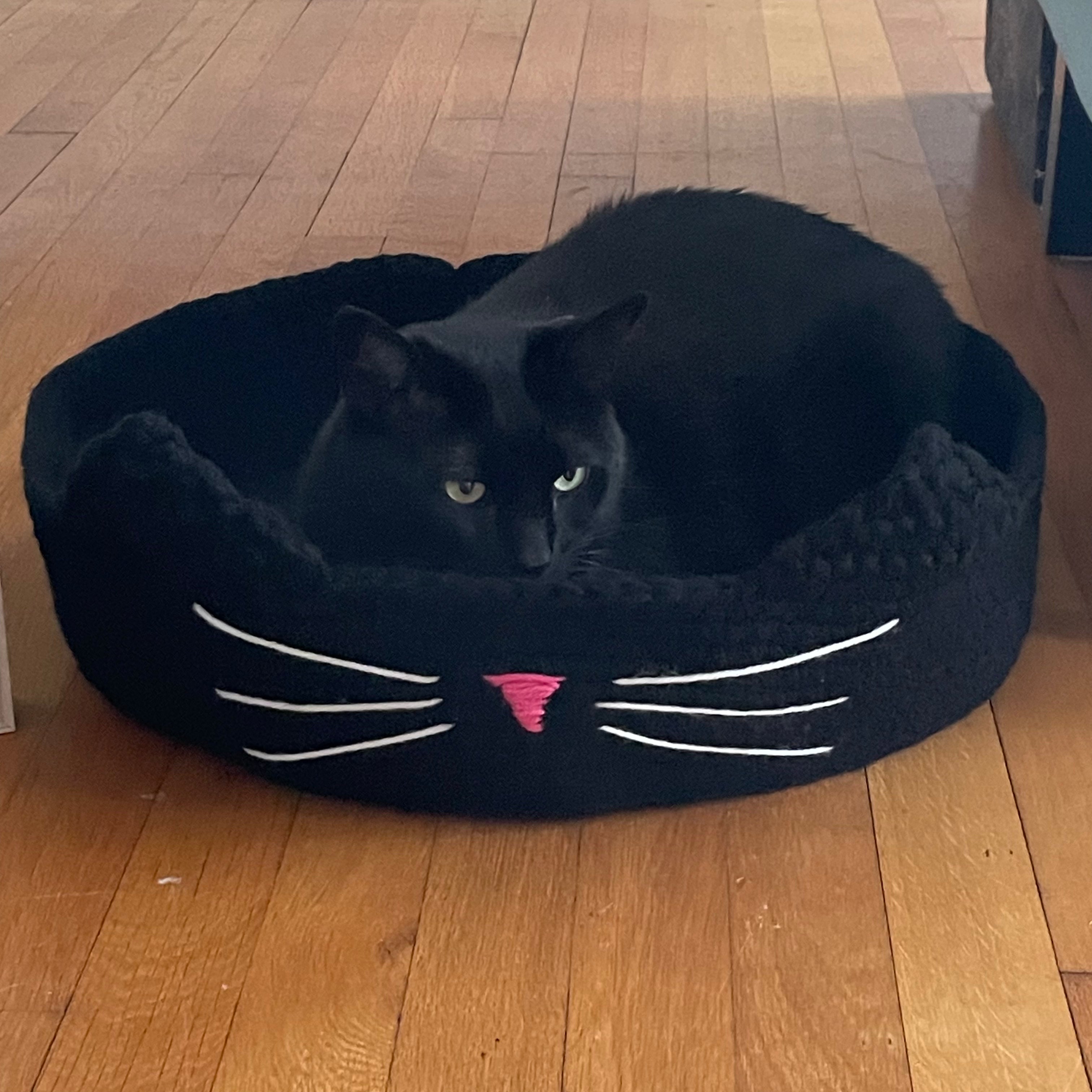 Large Cat Bed in Black & Pink Nose 16" Hand Crocheted Pet Furbaby Gift Cat Mom Dad