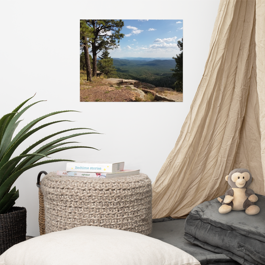 Forest Canyon Landscape Poster Nature Photograph Scenic Scenery Photo Picture America Woodland Trees Cool Wall Art Slightly Glossy Print Paper