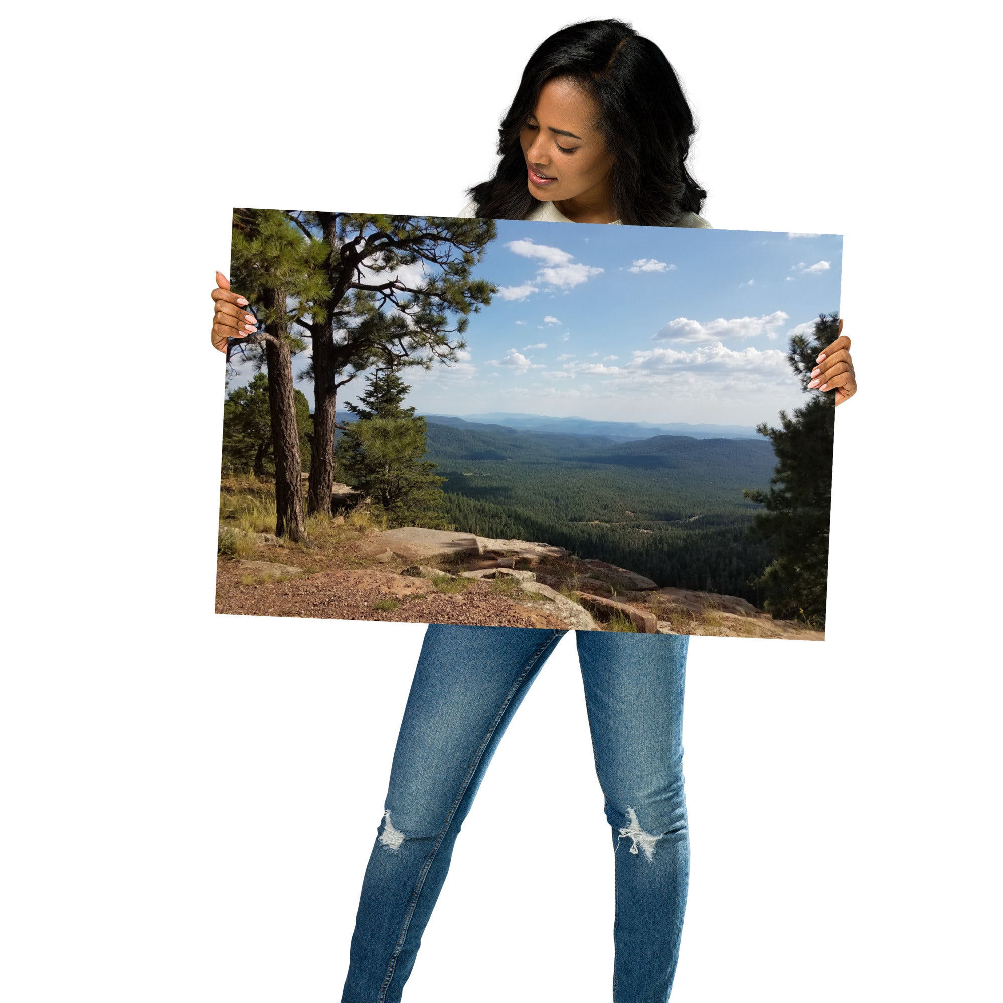 Forest Canyon Landscape | Wall Art Poster Nature Photograph Scenic Scenery Photo Picture America Woodland Trees Cool Slightly Glossy Print Paper