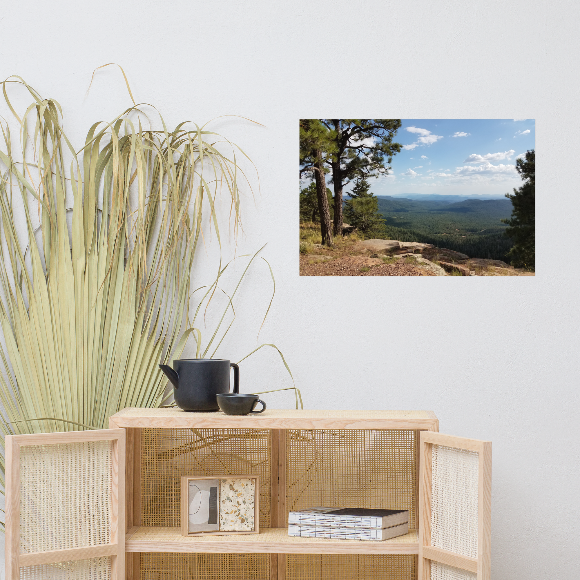 Forest Canyon Landscape | Wall Art Poster Nature Photograph Scenic Scenery Photo Picture America Woodland Trees Cool Slightly Glossy Print Paper