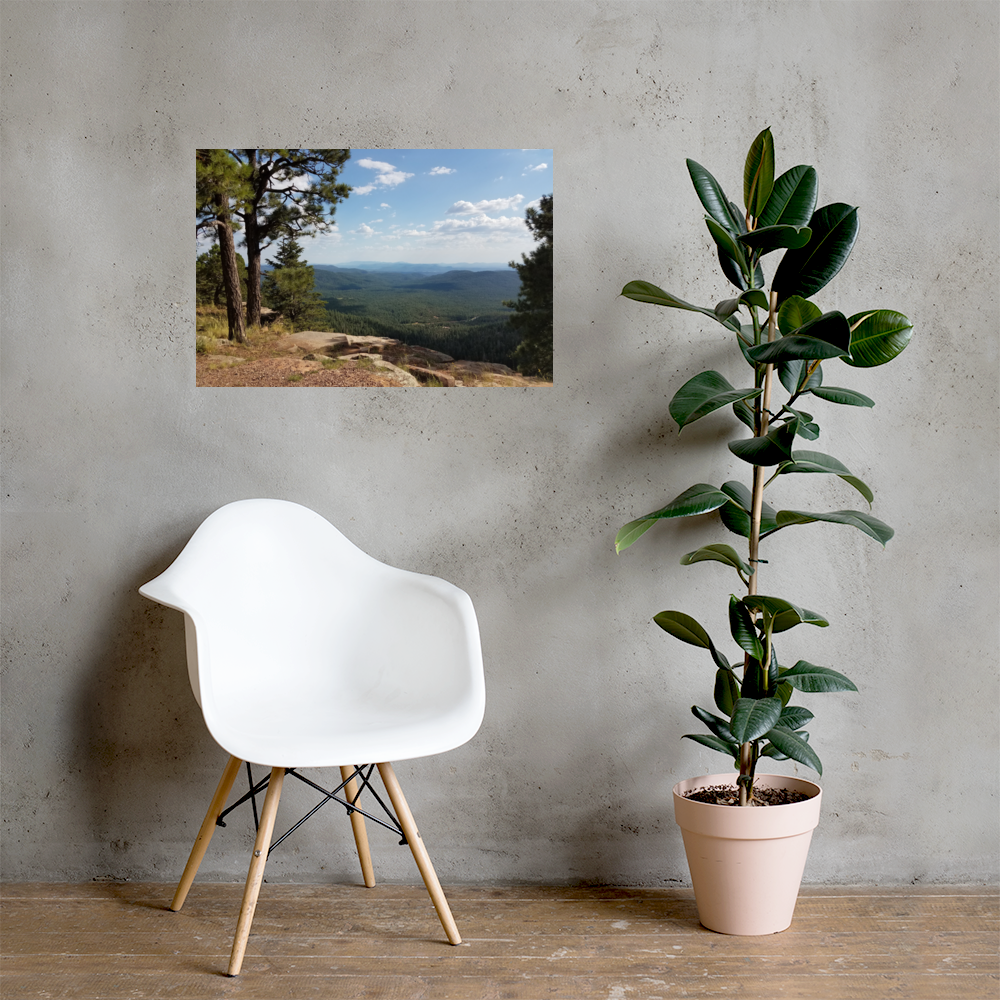 Forest Canyon Landscape | Wall Art Poster Nature Photograph Scenic Scenery Photo Picture America Woodland Trees Cool Slightly Glossy Print Paper