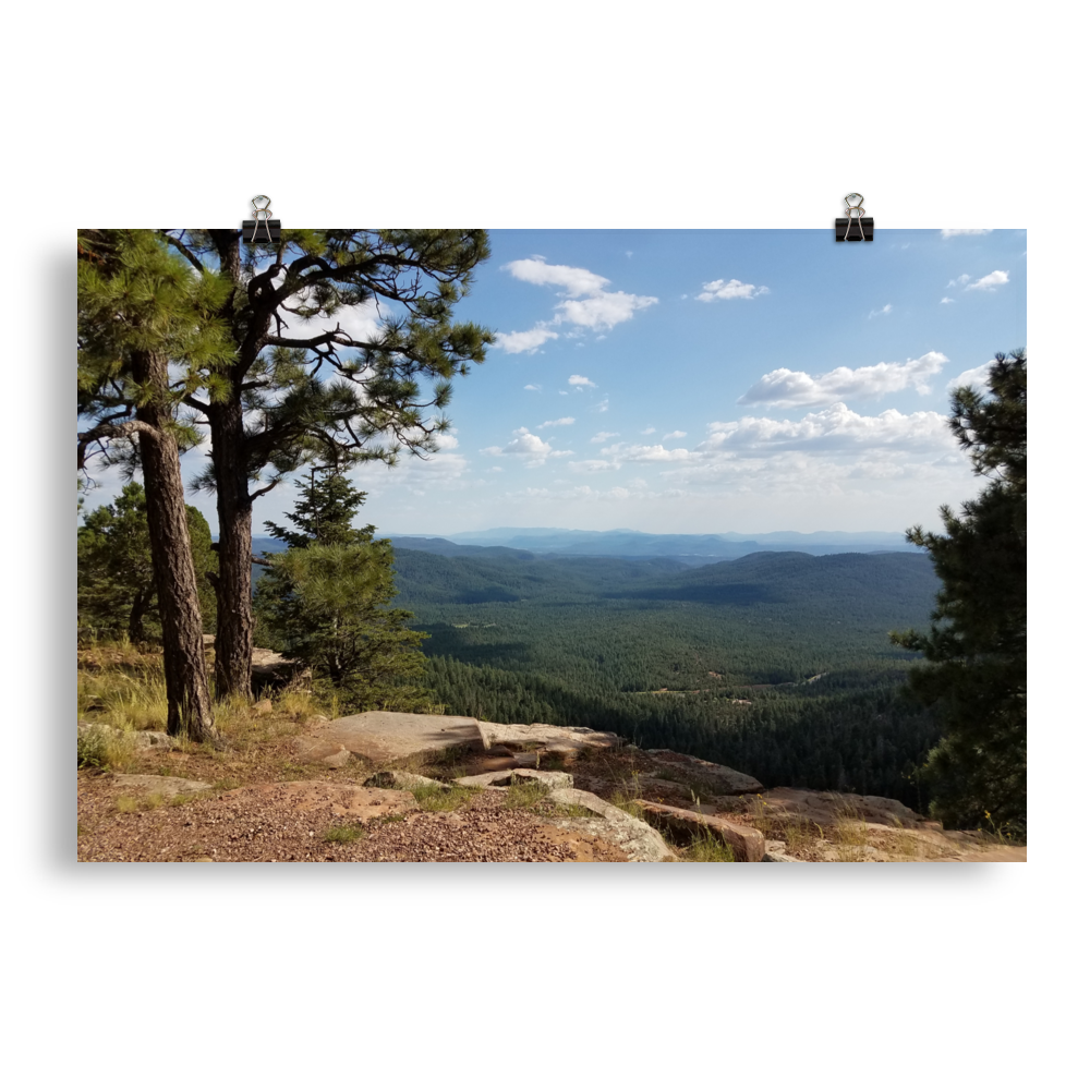 Forest Canyon Landscape | Wall Art Poster Nature Photograph Scenic Scenery Photo Picture America Woodland Trees Cool Slightly Glossy Print Paper