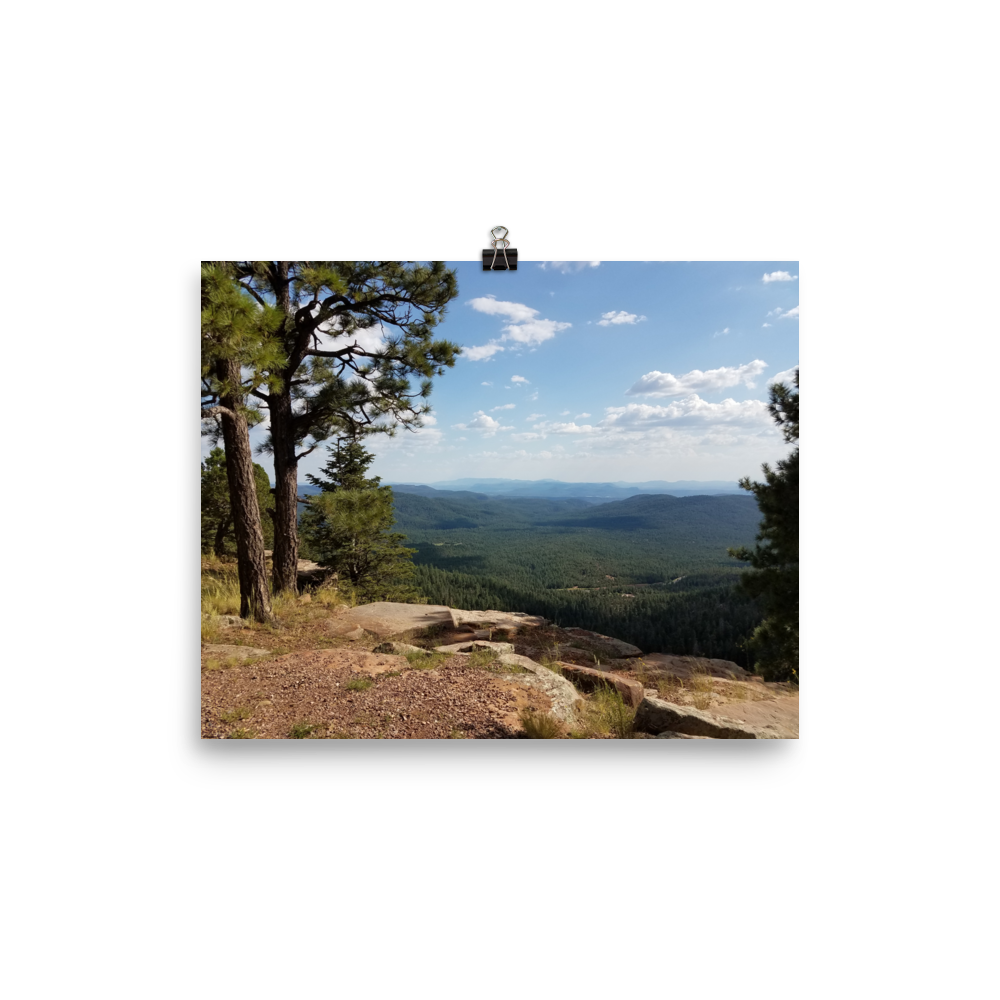 Forest Canyon Landscape | Wall Art Poster Nature Photograph Scenic Scenery Photo Picture America Woodland Trees Cool Slightly Glossy Print Paper