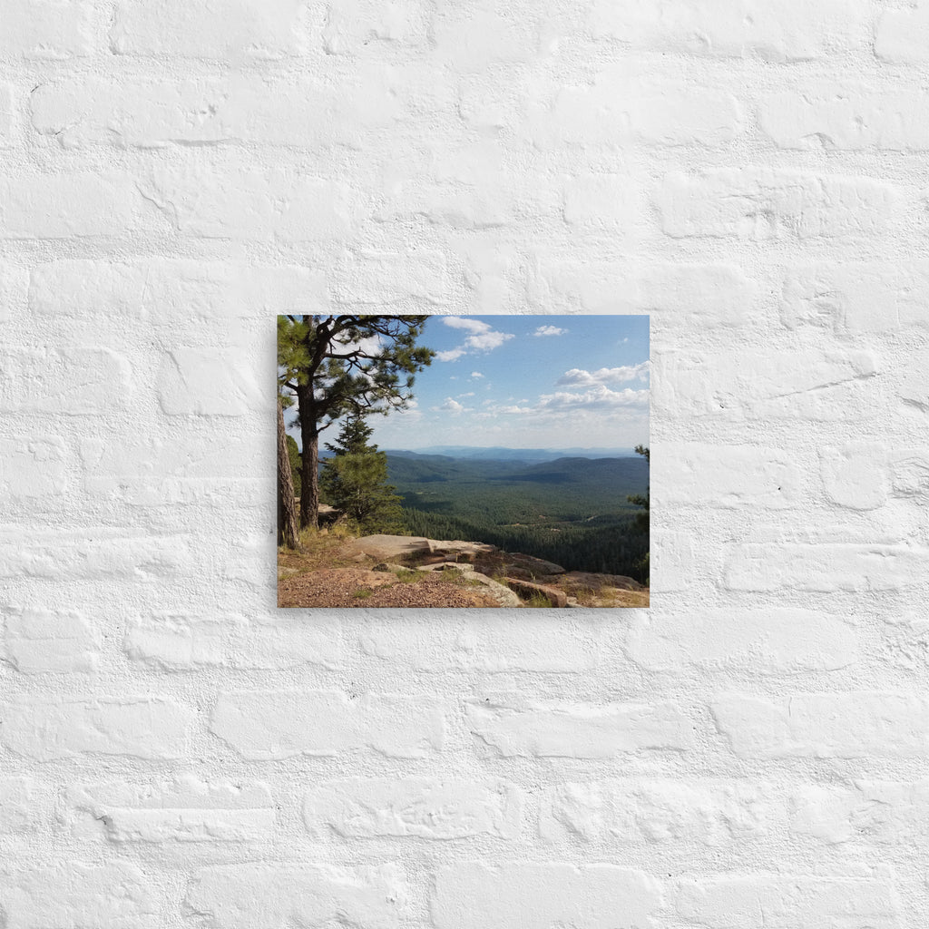 Forest Canyon Landscape | Wall Art Thin Canvas Nature Photograph Scenic Scenery Photo Picture America Woodland Trees