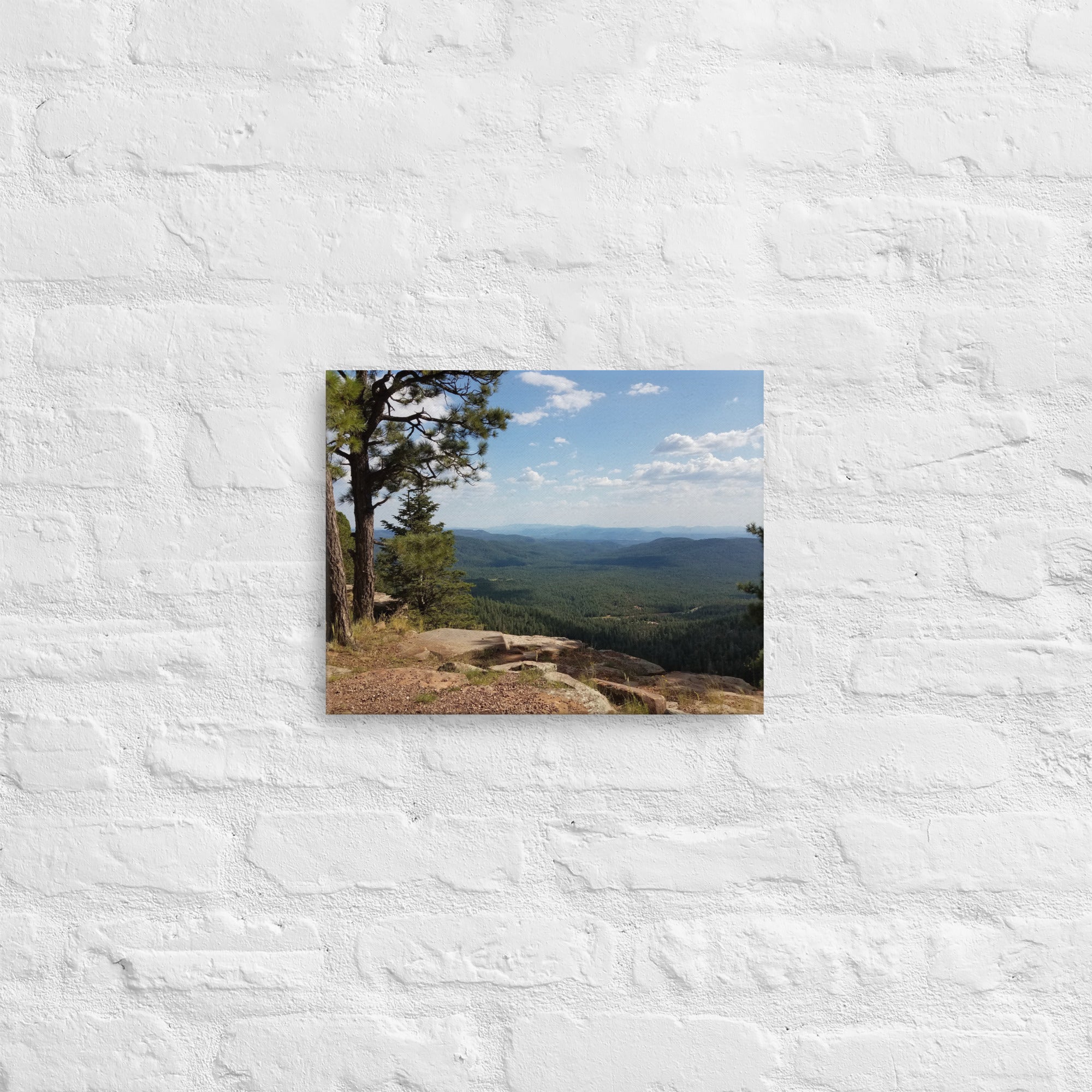 Forest Canyon Landscape | Wall Art Thin Canvas Nature Photograph Scenic Scenery Photo Picture America Woodland Trees