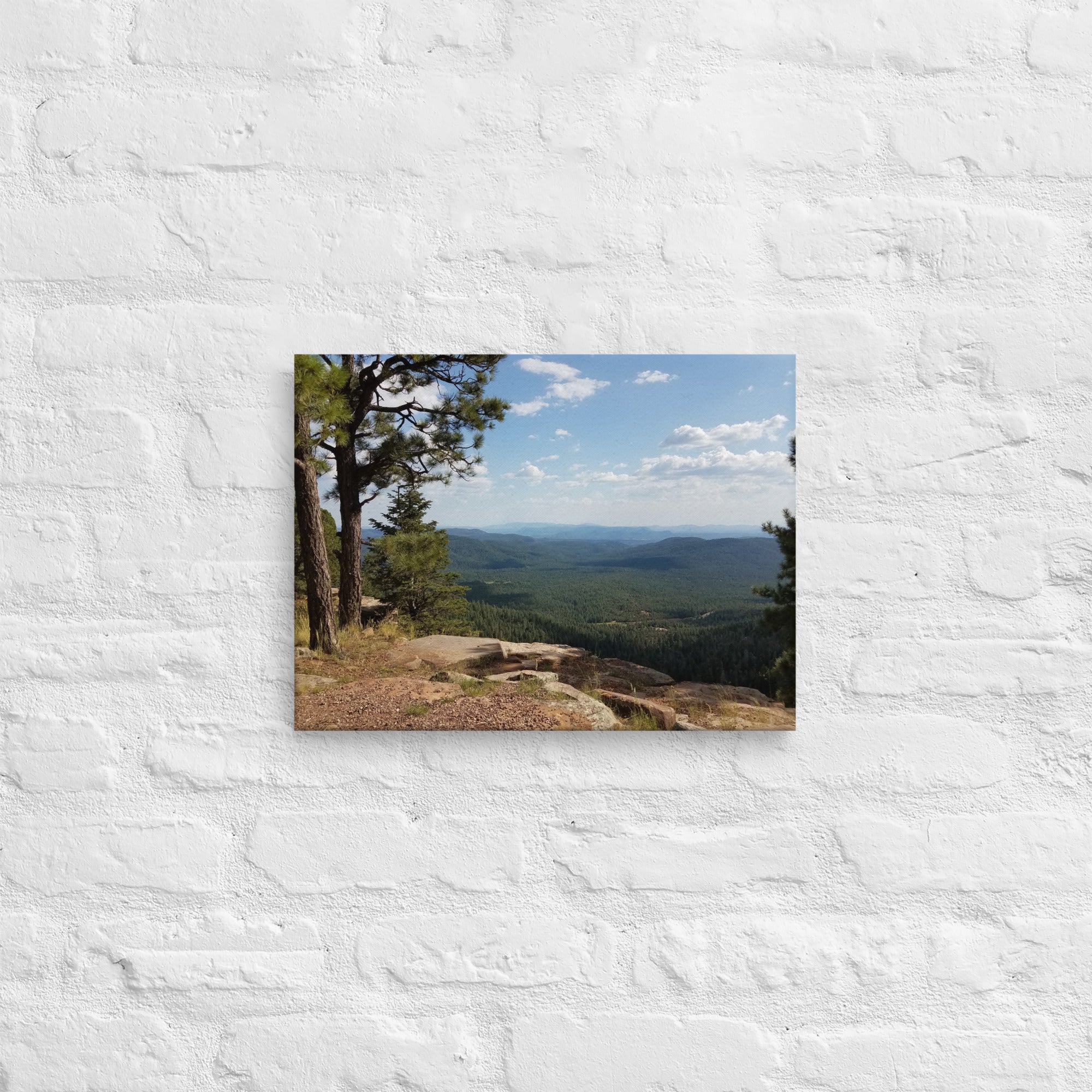 Forest Canyon Landscape | Wall Art Thin Canvas Nature Photograph Scenic Scenery Photo Picture America Woodland Trees