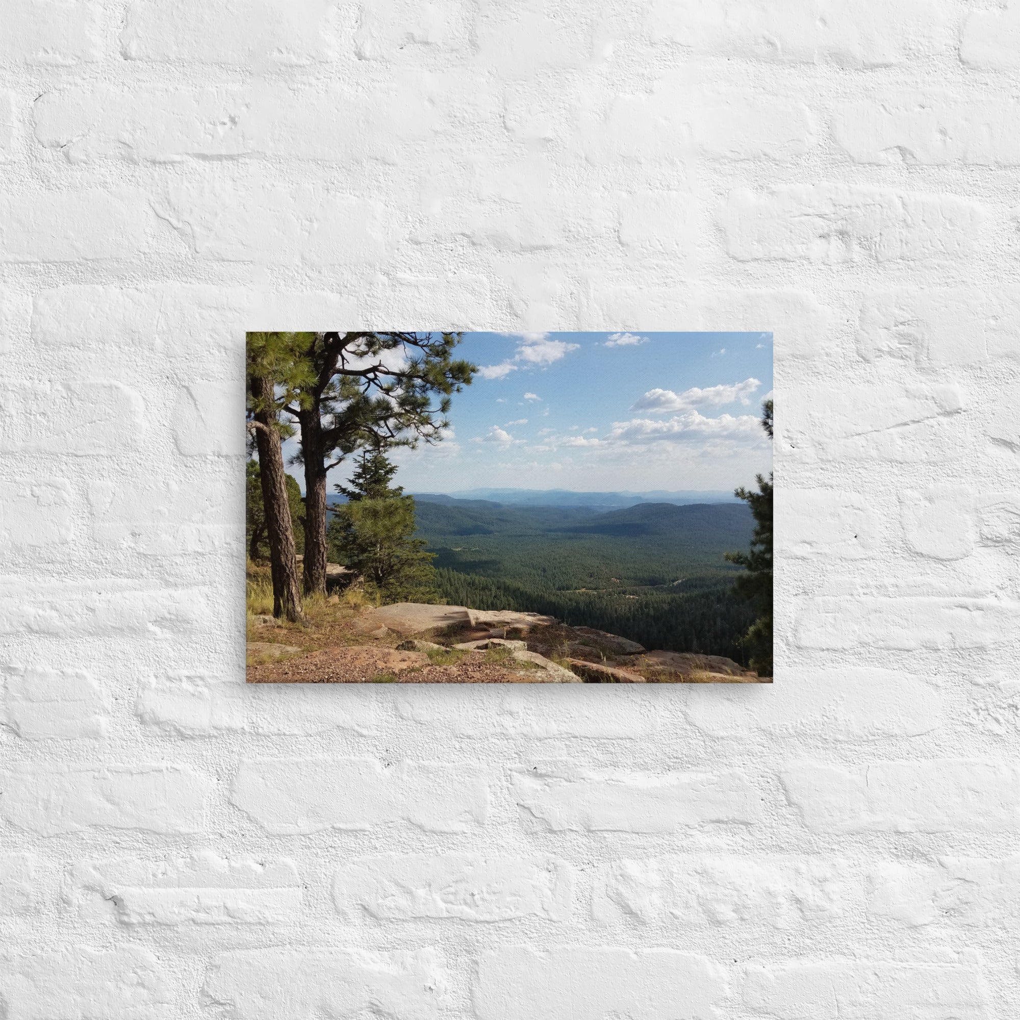 Forest Canyon Landscape | Wall Art Thin Canvas Nature Photograph Scenic Scenery Photo Picture America Woodland Trees