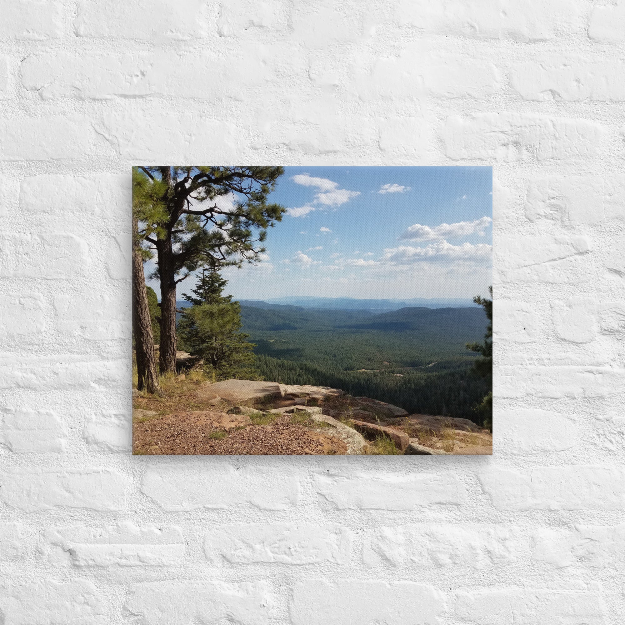 Forest Canyon Landscape | Wall Art Thin Canvas Nature Photograph Scenic Scenery Photo Picture America Woodland Trees