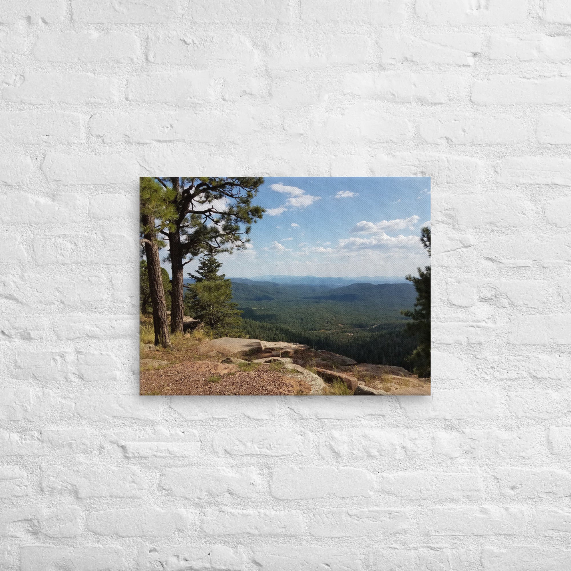 Forest Canyon Landscape | Wall Art Thin Canvas Nature Photograph Scenic Scenery Photo Picture America Woodland Trees