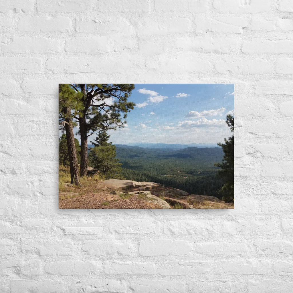 Forest Canyon Landscape | Wall Art Thin Canvas Nature Photograph Scenic Scenery Photo Picture America Woodland Trees