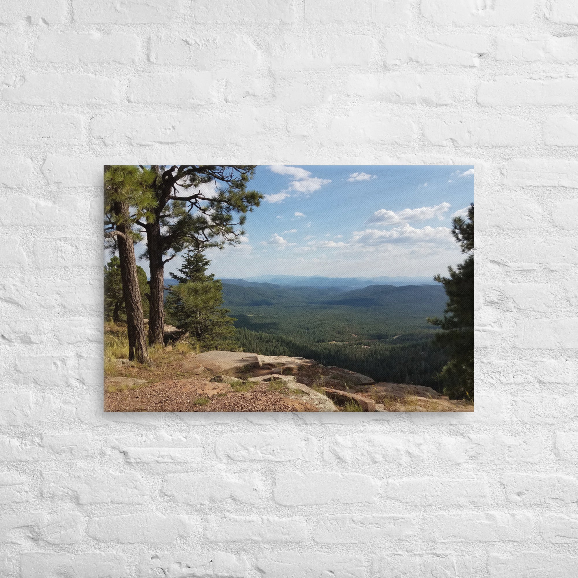 Forest Canyon Landscape | Wall Art Thin Canvas Nature Photograph Scenic Scenery Photo Picture America Woodland Trees